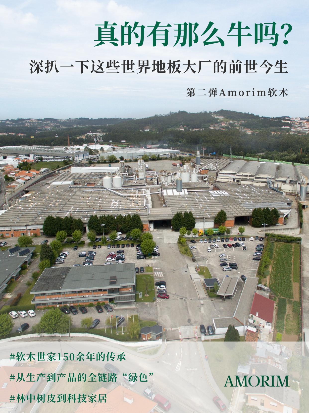 真的有那么牛嗎？深扒一下這些世界地板大廠的前世今生 圖片4